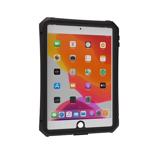 aXtion Slim MH iPad mini 4th/5th gen